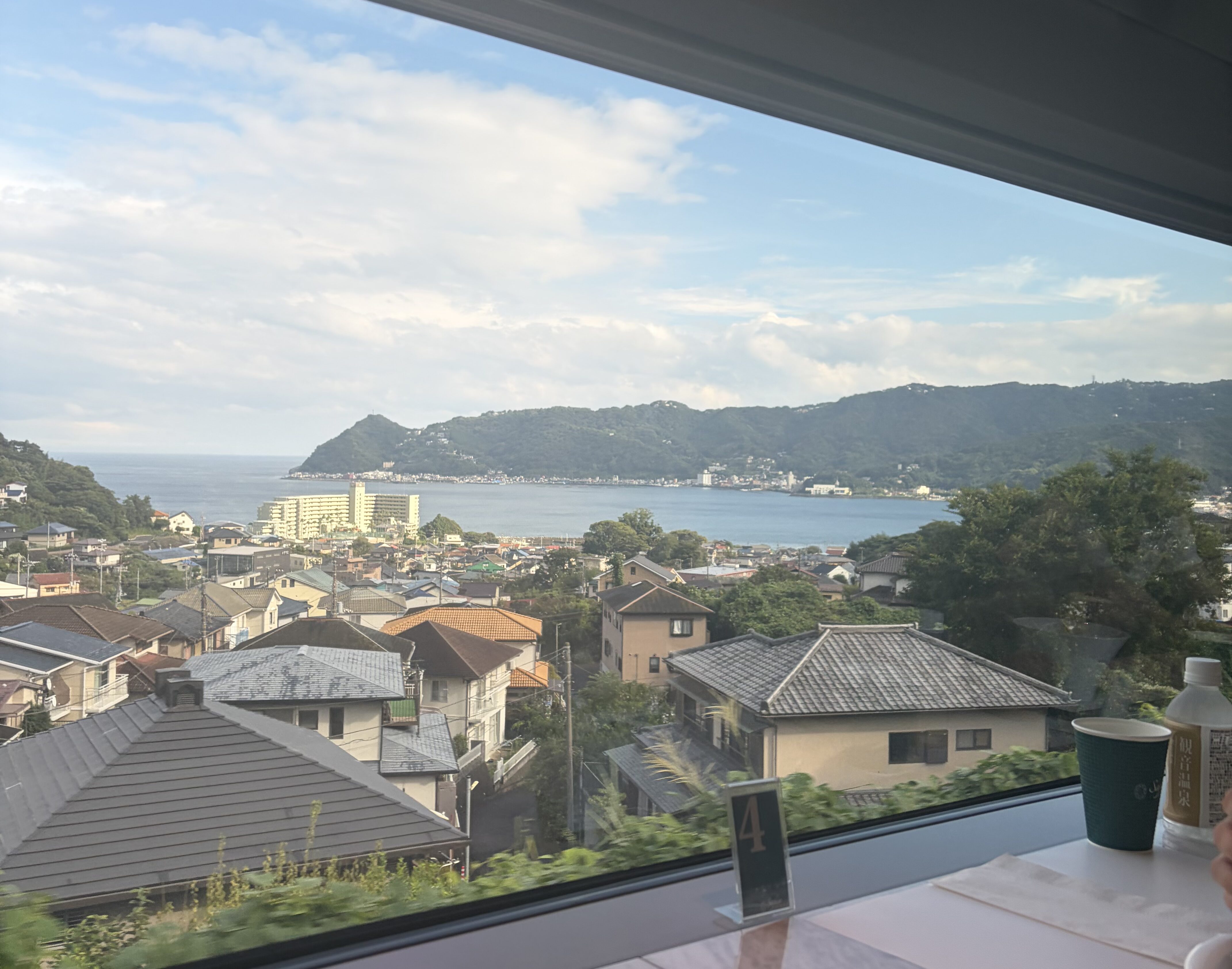 【実体験】いつまで一緒に行けるかわからないから｜電車好きの母とサフィール踊り子で行く親孝行旅行